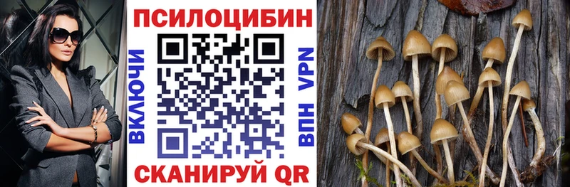 Псилоцибиновые грибы Psilocybine cubensis  Салаир 